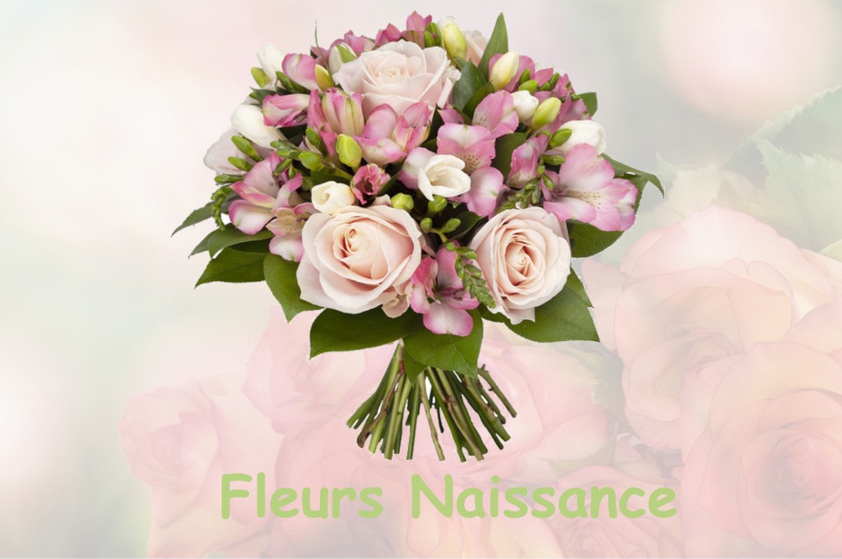 fleurs naissance ARZAY