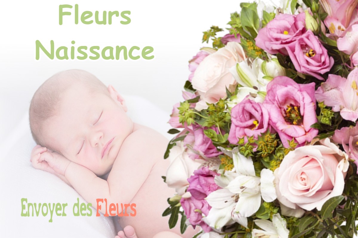 lIVRAISON FLEURS NAISSANCE à ARZAY