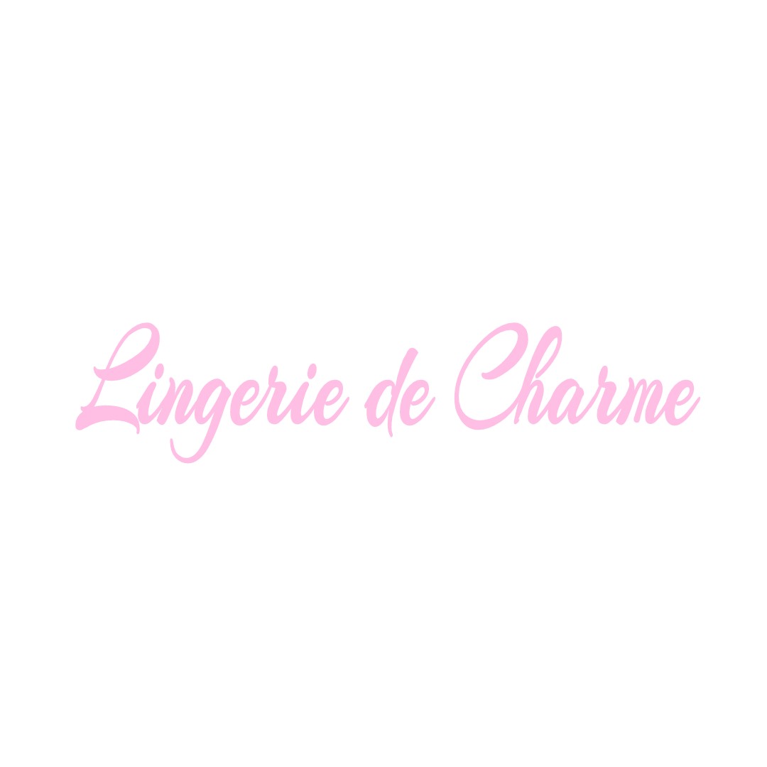 LINGERIE DE CHARME ARZAY